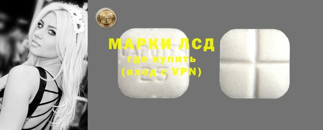 ПСИЛОЦИБИНОВЫЕ ГРИБЫ Балабаново
