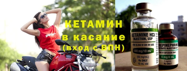 стаф Аркадак